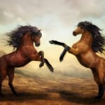 Divineway Horse God