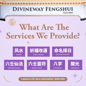 Divineway Fengshui Master Louis Cheung