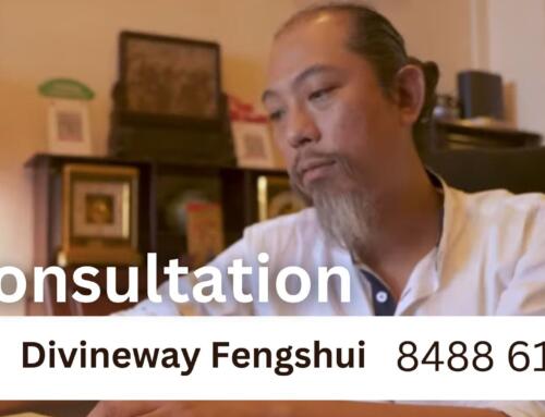 Feng Shui Shop Near Me: What You Need to Know Before Visiting.